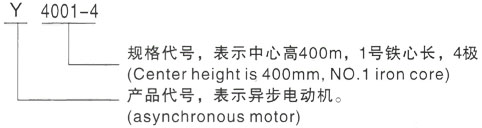 西安泰富西玛Y系列(H355-1000)高压YKK4506-6三相异步电机型号说明