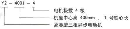 YR系列(H355-1000)高压YKK4506-6三相异步电机西安西玛电机型号说明